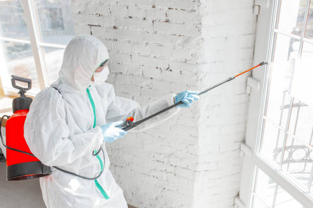 Best Mold Remediation for Healthcare Facilities  in Hudson, CO