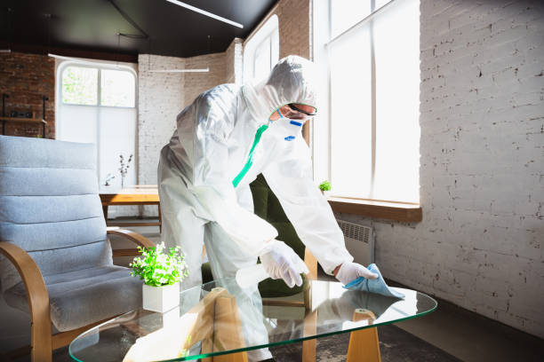 Why You Should Choose Our Mold Remediation Services in Hudson, CO